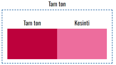 VOXCO PIGMENT KIRMIZI TONER 48:1